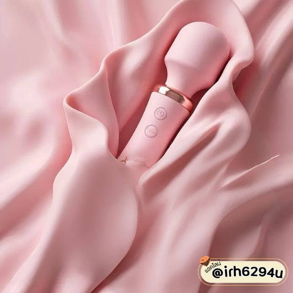 dual motor vibrator lilo magic massager