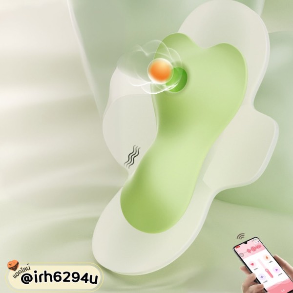 discreet vibrator in luxury charging case