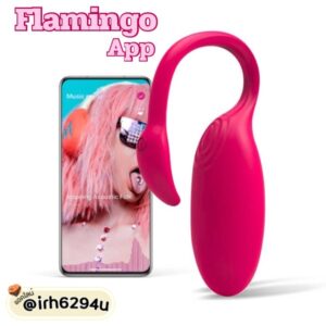 Magic Motion Flamingo Chat Control ควบคุมระยะไกล