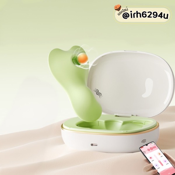 premium clitoral suction toy with charging case