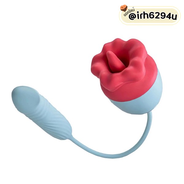 rechargeable dual action vibrator 10 modes