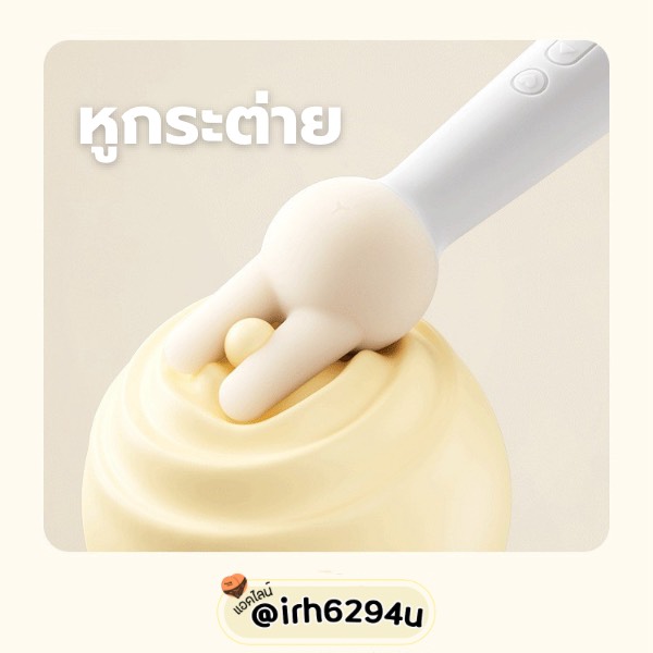 svakom mini massager with 3 interchangeable heads
