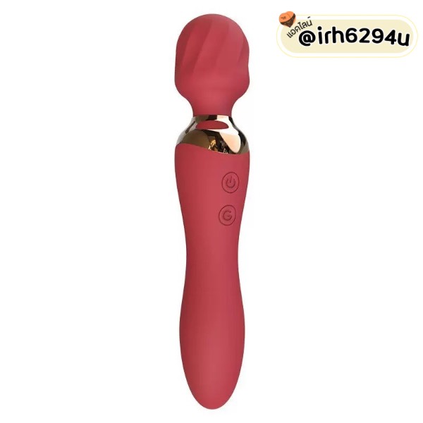usb rechargeable dual motor sex toy